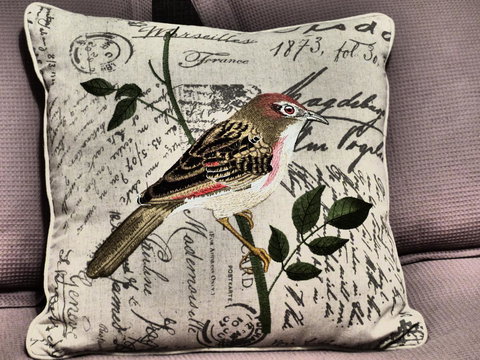 Andy\'s Accommodation - Kawana Tourism 9