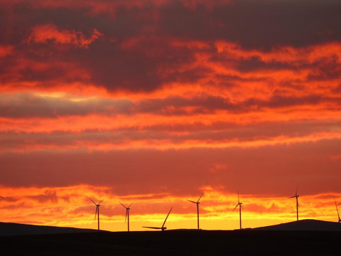 Andy\'s Accommodation - Kawana Tourism 11