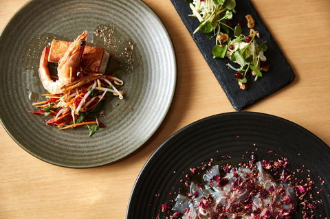 Rydges Newcastle - Kawana Tourism 23