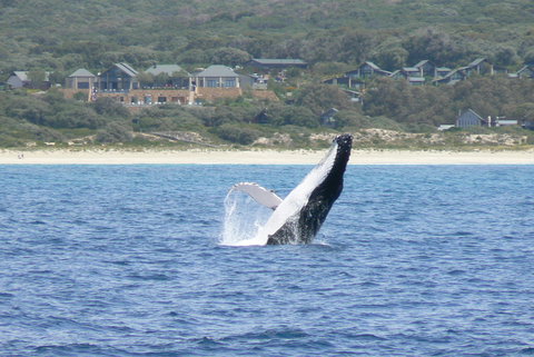 Pullman Bunker Bay Resort Margaret River - Kawana Tourism 25