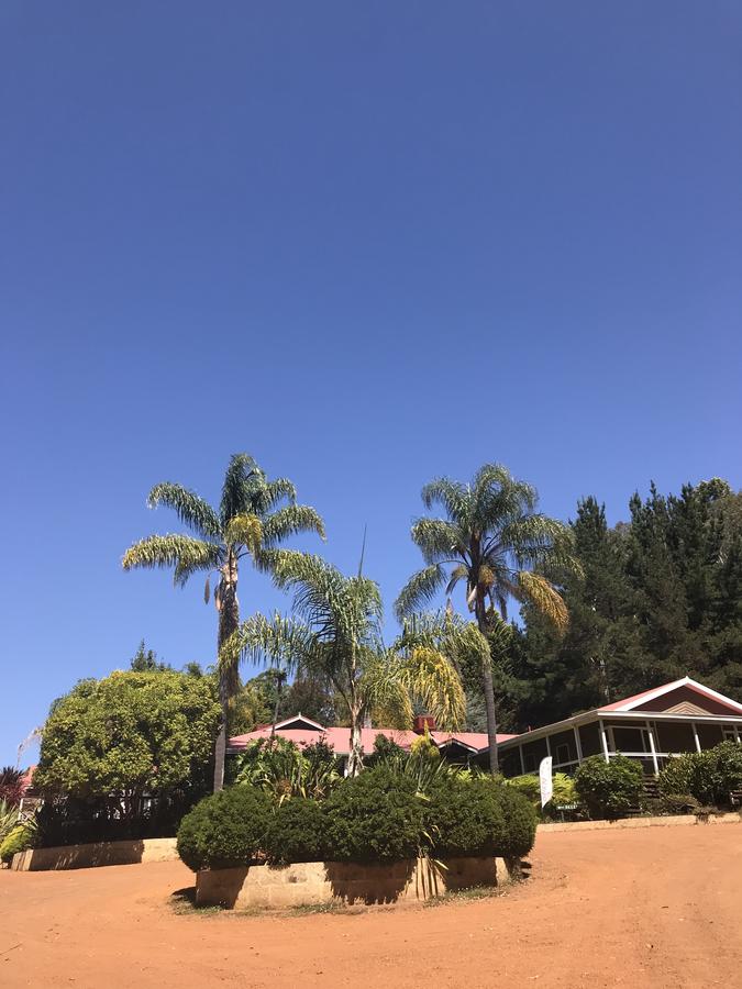  Kawana Tourism