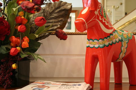 European Hotel - Kawana Tourism 10