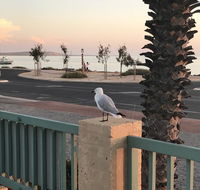Shark Bay Seafront Apartments - Kawana Tourism