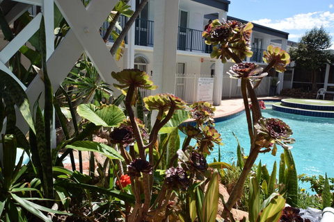 West Beach Lagoon 220 Stylish And Cozy - Kawana Tourism 18