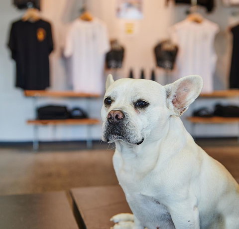 Nomads Byron Bay Backpackers - Kawana Tourism 24