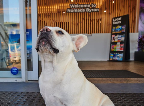 Nomads Byron Bay Backpackers - Kawana Tourism 22