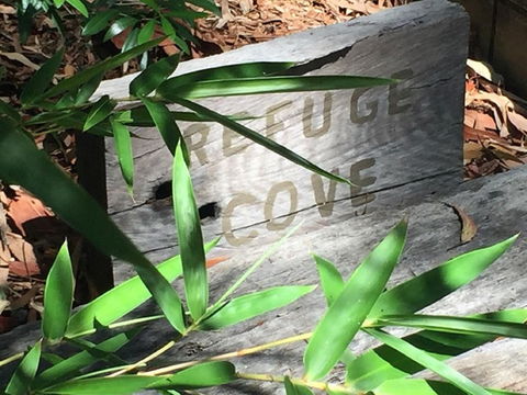 Refuge Cove On Pittwater - Kawana Tourism 12