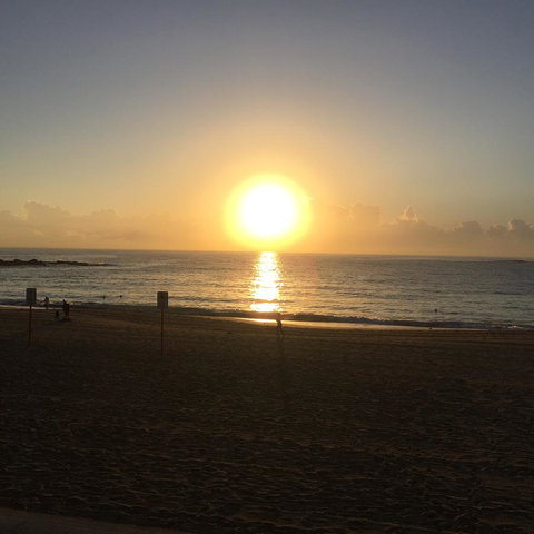 Coogee Sands Hotel & Apartments - Kawana Tourism 24