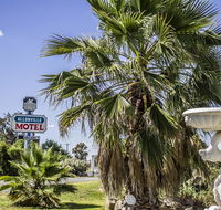 Allonville Gardens Motel - Kawana Tourism