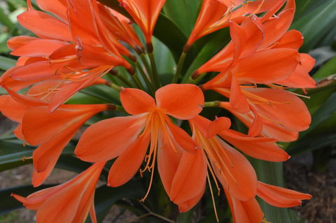 JE Guesthouse, Central To All The Hunter Valley Has To Offer - Kawana Tourism 39