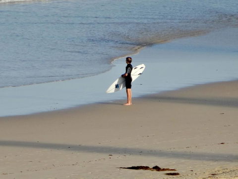 Coastal Horizons Beach House - Kawana Tourism 20