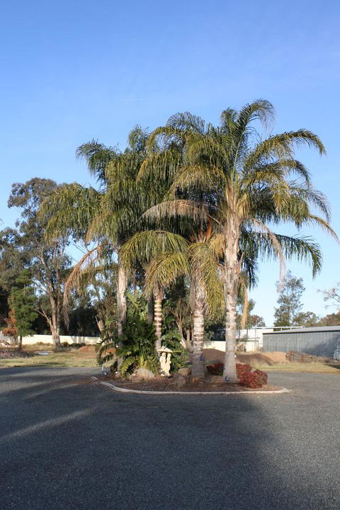 Temora Motel - Kawana Tourism 6