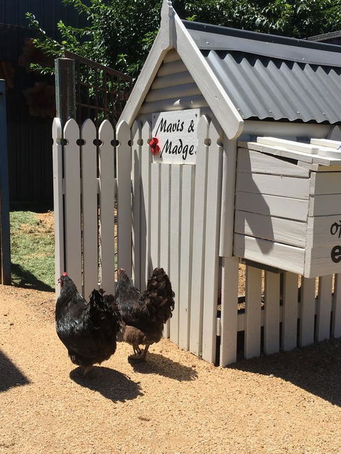 Thelma's Temora - Kawana Tourism 12