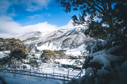 Pure Chalet Thredbo - Kawana Tourism 31
