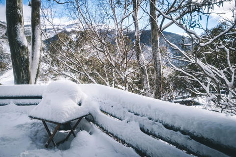 Pure Chalet Thredbo - Kawana Tourism 19