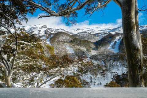 Pure Chalet Thredbo - Kawana Tourism 17