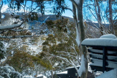 Pure Chalet Thredbo - Kawana Tourism 30