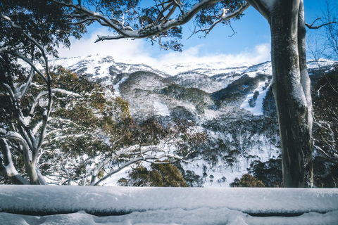 Pure Chalet Thredbo - Kawana Tourism 2