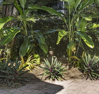 Nineteen on Nudl - Kawana Tourism