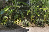 Book Stuart Park Accommodation Vacations Kawana Tourism Kawana Tourism