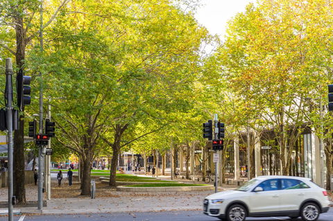 Highgate Executive Apartment City Walk Canberra - Kawana Tourism 37