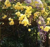 Bowral Road Bed and Breakfast