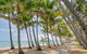 Brindabella - Palm Cove - thumb 3