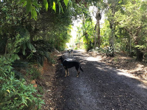 Bunya Cottage - Kawana Tourism 2