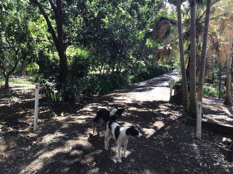 Bunya Cottage - Kawana Tourism 3