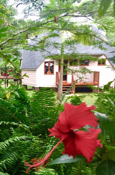 Cape Tribulation Holiday House - Kawana Tourism 3