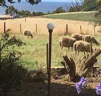 Cape View B and B - Kawana Tourism