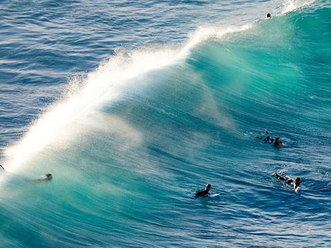 Carinya Gardens 15 - Kawana Tourism 3