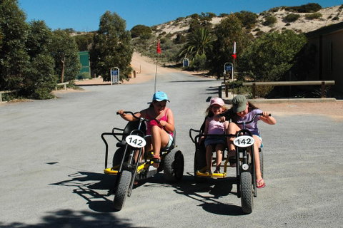 Ceduna Shelly Beach Caravan Park - Kawana Tourism 1