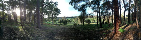 Chandeliers On Abbey - Kawana Tourism 1