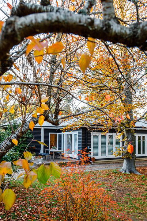 Charming Mountain Cottage - Kawana Tourism 3