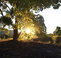 Clarendon Forest Retreat - Kawana Tourism