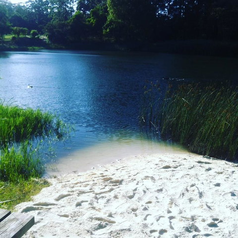 Cloudlake Mountain Retreat - Kawana Tourism 3