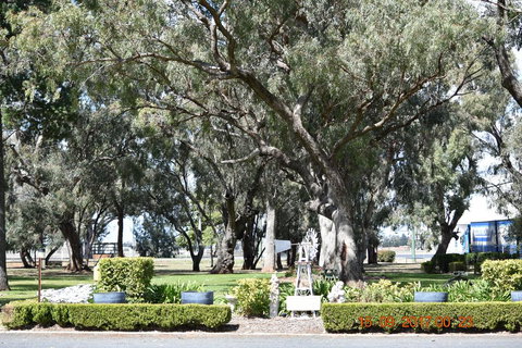 Cooee Motel - Kawana Tourism 2