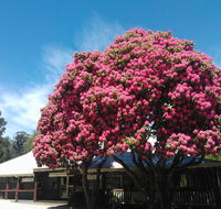 Crossways Country Inn - Kawana Tourism