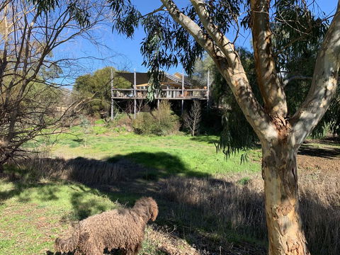 Cullen House - Kawana Tourism 1