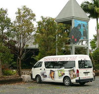 Daintree Wild Bed  Breakfast - Kawana Tourism