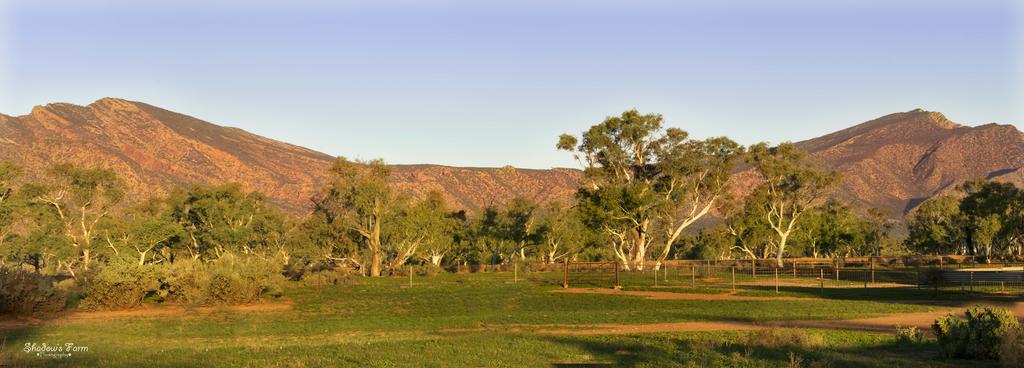 Flinders Ranges SA Kawana Tourism