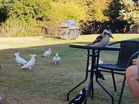 Eildon Parkview Motor Inn - Kawana Tourism 0
