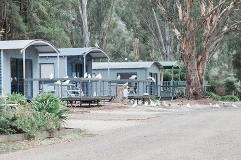 Eildon Pondage Holiday Park - Kawana Tourism 3