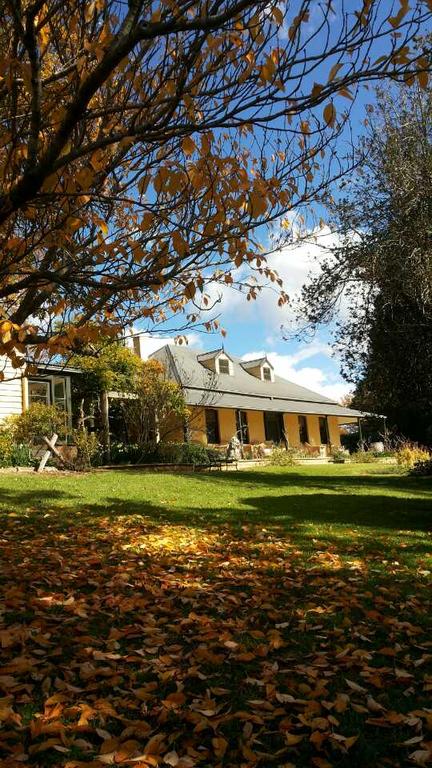 Eling Forest Winery - Kawana Tourism 3