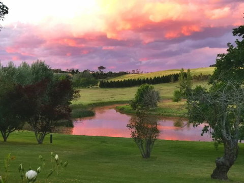 Eling Forest Winery - Kawana Tourism 0