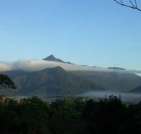 Epiphyte B  B - Kawana Tourism