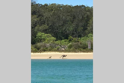 FAIRVIEW COTTAGE 25B - Waterfront Accommodation - Kawana Tourism 0