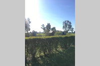 Book Benalla Accommodation Vacations Kawana Tourism Kawana Tourism