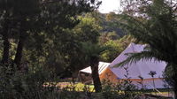 Book Zeehan Accommodation Vacations Kawana Tourism Kawana Tourism